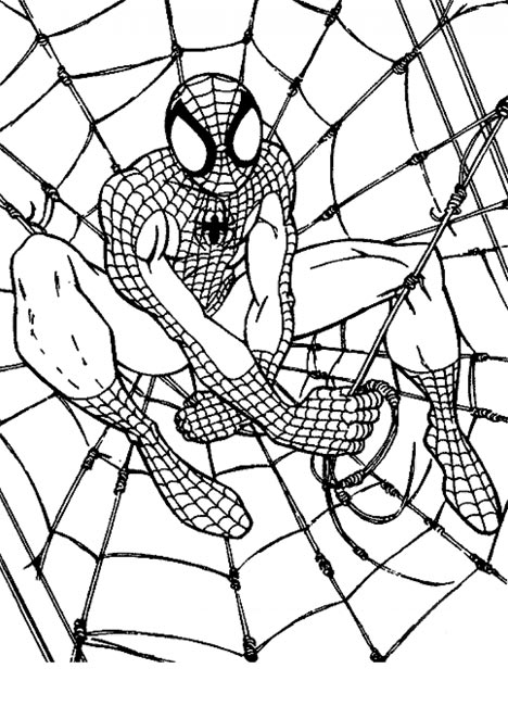 Desene De Colorat Spider Man