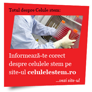 Celule-stem