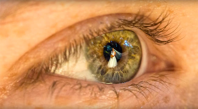 fotograf