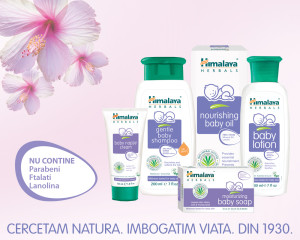 himalaya
